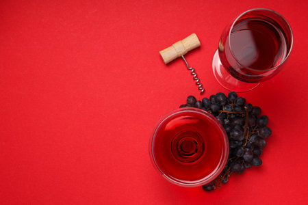 Gourmet drink concept, delicious alcohol drink - wineの写真素材