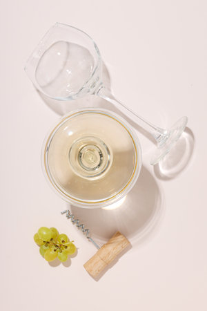 Gourmet drink concept, delicious alcohol drink - wineの写真素材