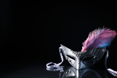Carnival mask with feather on black background, space for textの写真素材