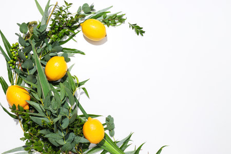 Happy Sukkot festival, a happy Jewish holidayの写真素材