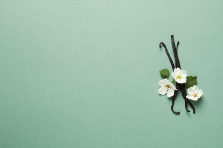 Concept of aromatherapy with aromatic vanilla extractの写真素材