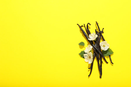 Concept of aromatherapy with aromatic vanilla extractの写真素材