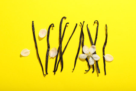 Concept of aromatherapy with aromatic vanilla extractの写真素材