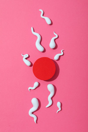 Fertilization concept, ovulation period, sperm and egg.