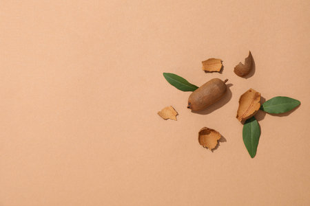 Tamarind, concept of tasty food, fresh tamarind fruit