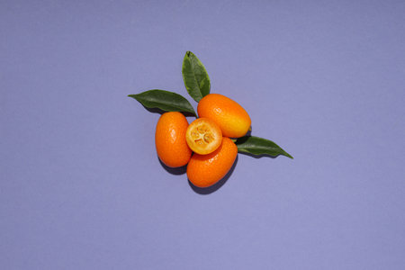 Kumquat and leaves in purple background, top viewの写真素材