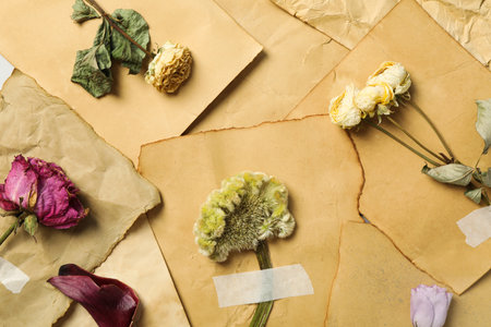 Vintage composition of dried flowers on old sheets of paper, top viewの写真素材
