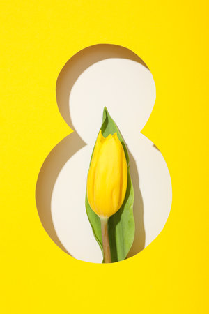 Paper cut number eight with fresh tjuspansの写真素材