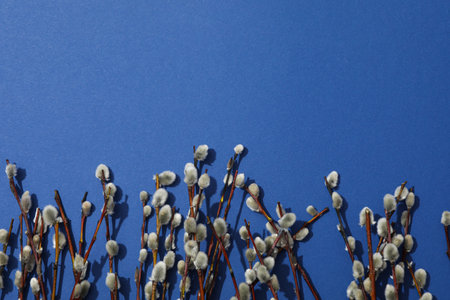 Spring holiday - Easter, concept of Easter with willow