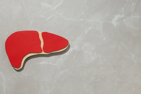 Paper liver on light background, space for textの写真素材