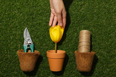 Flower pots, hand, flower and garden supplies on green background, top view
