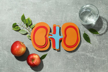 National Kidney Month, kidneys on gray background.の写真素材