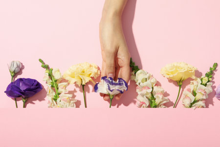 Beautiful, fresh flowers on a pink background.の写真素材