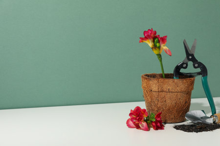 Garden tools, flower pot and flowers on green background, space for textの写真素材