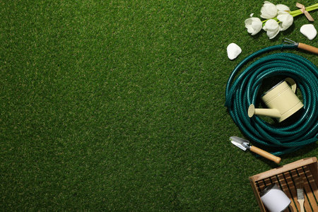 Garden supplies, tulips, can of paint in wooden box on green background, space for textの写真素材