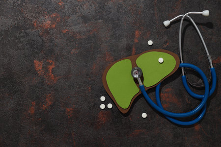 Paper liver mockup and stethoscope on dark gray background, space for text
