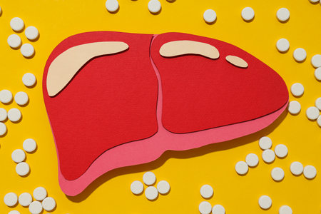 Paper mockup of liver and pills on yellow background, top viewの写真素材