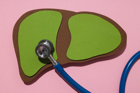 Paper mockup of liver and stethoscope on pink background, close upの写真素材