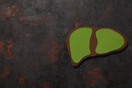 Paper liver mockup on dark gray background, space for textの写真素材
