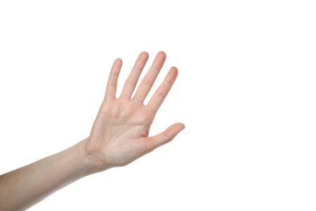 PNG,female palms, isolated on white backgroundの写真素材