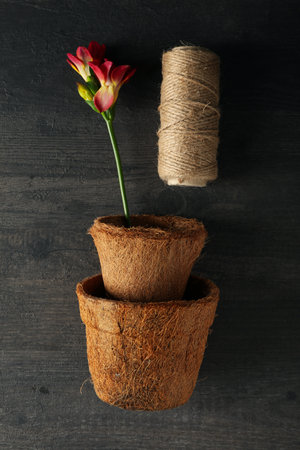 Flower in flower pot and twine on wooden background, top viewの写真素材