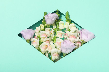 Beautiful, fresh flowers on a blue background.の写真素材