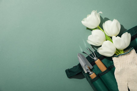 Garden tools and tulips in glove on green background, space for textの写真素材
