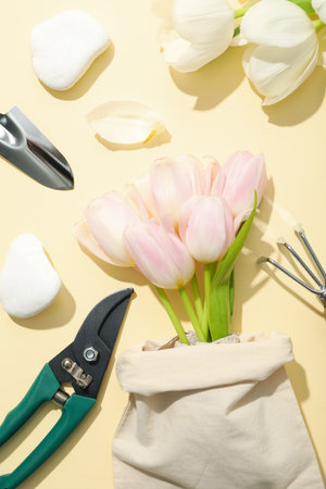 Gardening tools and tulips in cotton bag on light background, top viewの写真素材
