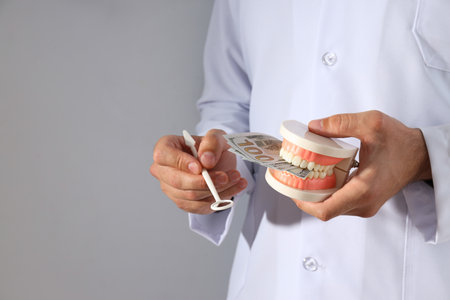 Dental instrument and jaw in hands of dentist on gray background, space for text