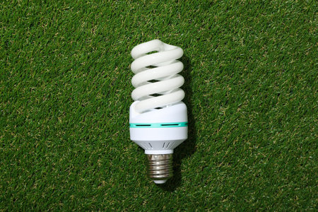 An economical light bulb on the grass
