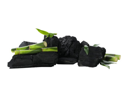 PNG,Fresh bamboo shoots with charcoal, isolated on white backgroundの写真素材
