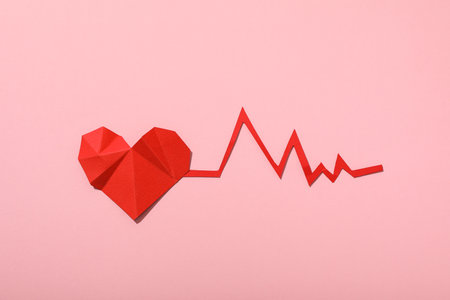 Heart with a cardiogram on a light background.の写真素材