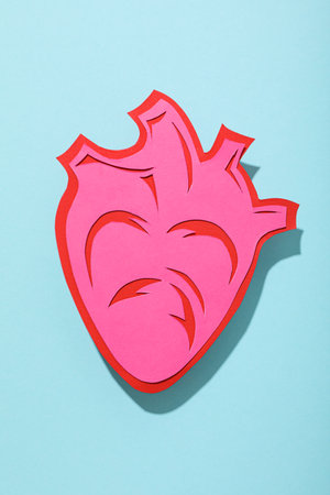 The concept of treatment of cardiovascular diseases.