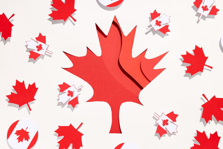 Decorative maple leaves on a light backgroundの写真素材