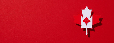 Decorative maple leaf on a red backgroundの写真素材