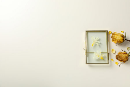 Dried roses and flower under glass on white background, space for textの写真素材