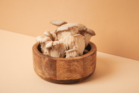 Mushrooms, concept of autumn food, autumn harvestの写真素材