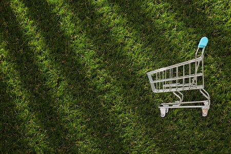 A metal shopping cart on the grass.の写真素材