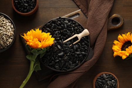 Sunflower seeds, tasty snack, concept of harvestの写真素材