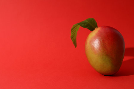 Ripe delicious mango on a red backgroundの写真素材