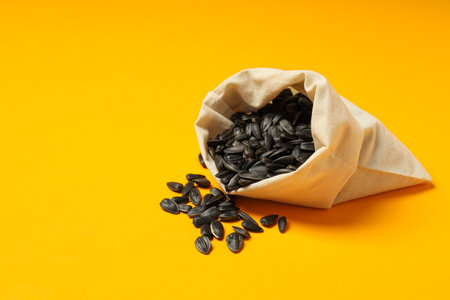 Sunflower seeds, concept of tasty snack, concept of harvestの写真素材