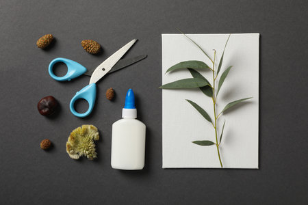 Plants, glue, scissors and paper on gray background, top viewの写真素材