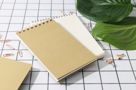 Notebooks with a flower pot on a light backgroundの写真素材
