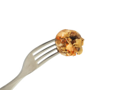 PNG stuffed mushroom on a fork isolated on white background.の写真素材