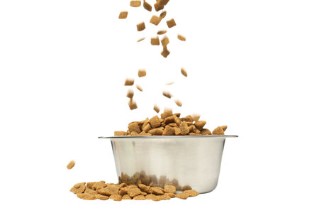 PNG, Pet food, isolated on white backgroundの写真素材