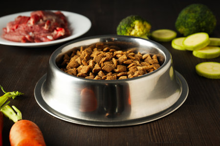 Pet food, concept of healthy food for your petの写真素材