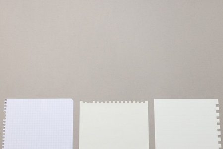 Torn sheets from notebooks on a light background