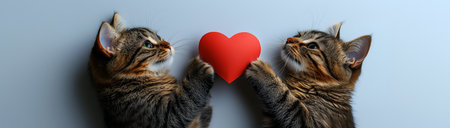 Valentine's Day, two cats and a red paper heart on a gray background close up, created with Generative AI technologyの素材