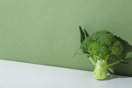 Branch of broccoli on table on green background, space for textの写真素材