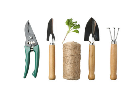 Gardening tools like pruners and trowels arranged for planting, isolated on white, PNG